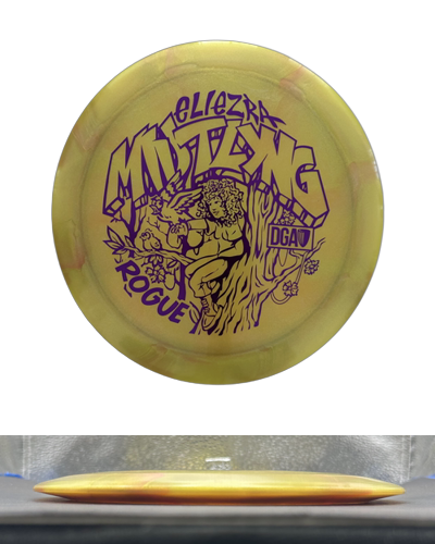 Pre-Owned DGA Rogue