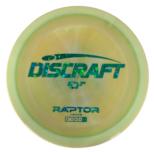 ESP Raptor