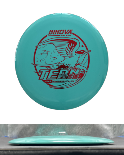 Star Tern