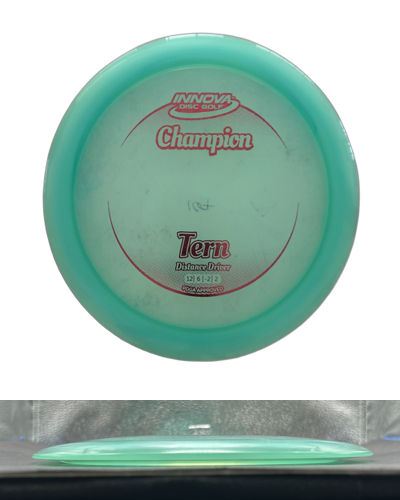 Champion Tern