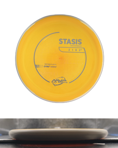 Neutron Stasis