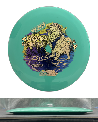 Thomas Thomaselli Team Series Neutron Trace
